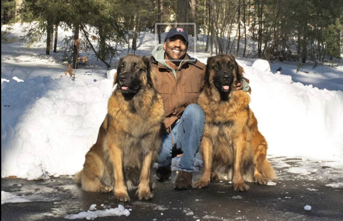 The instructor outdoors in the snow with his two Leonberger dogs