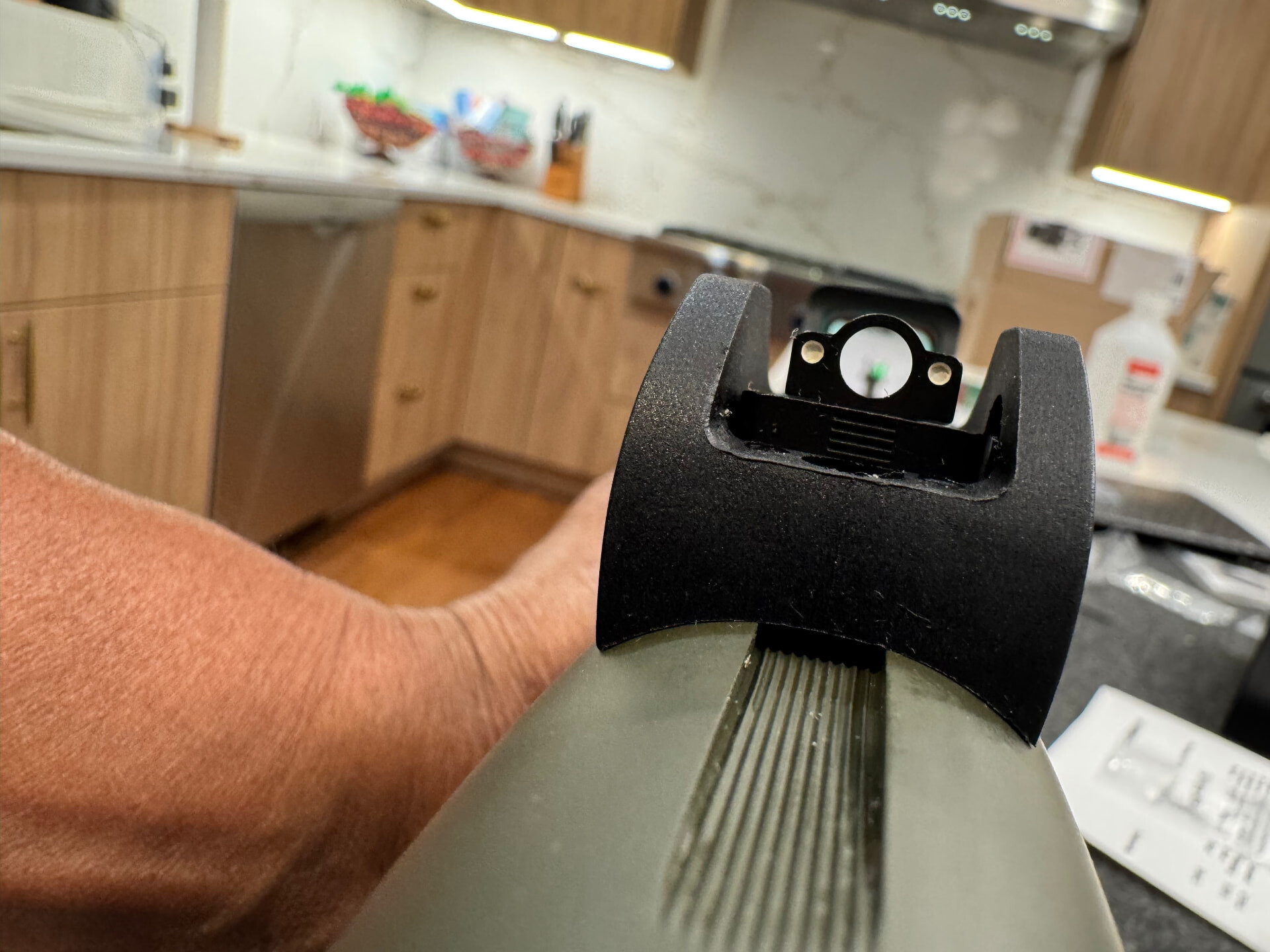 View through the Beretta 1301 factory ghost-ring sights and Holosun 507K-GR green dot